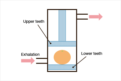 Reproducing retronasal odors with an artificial throat